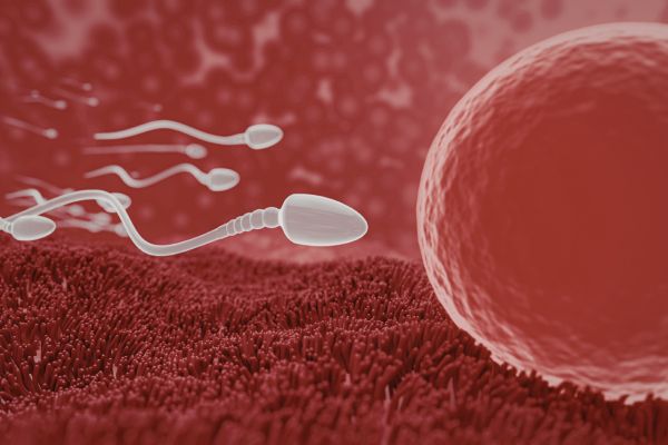 Signs of low sperm count