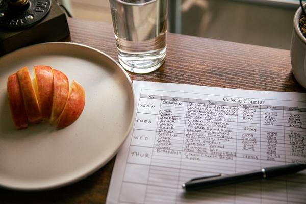 weekly meal plan template for weight loss
